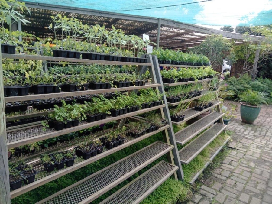 4 Bedroom Property for Sale in C Place Eastern Cape